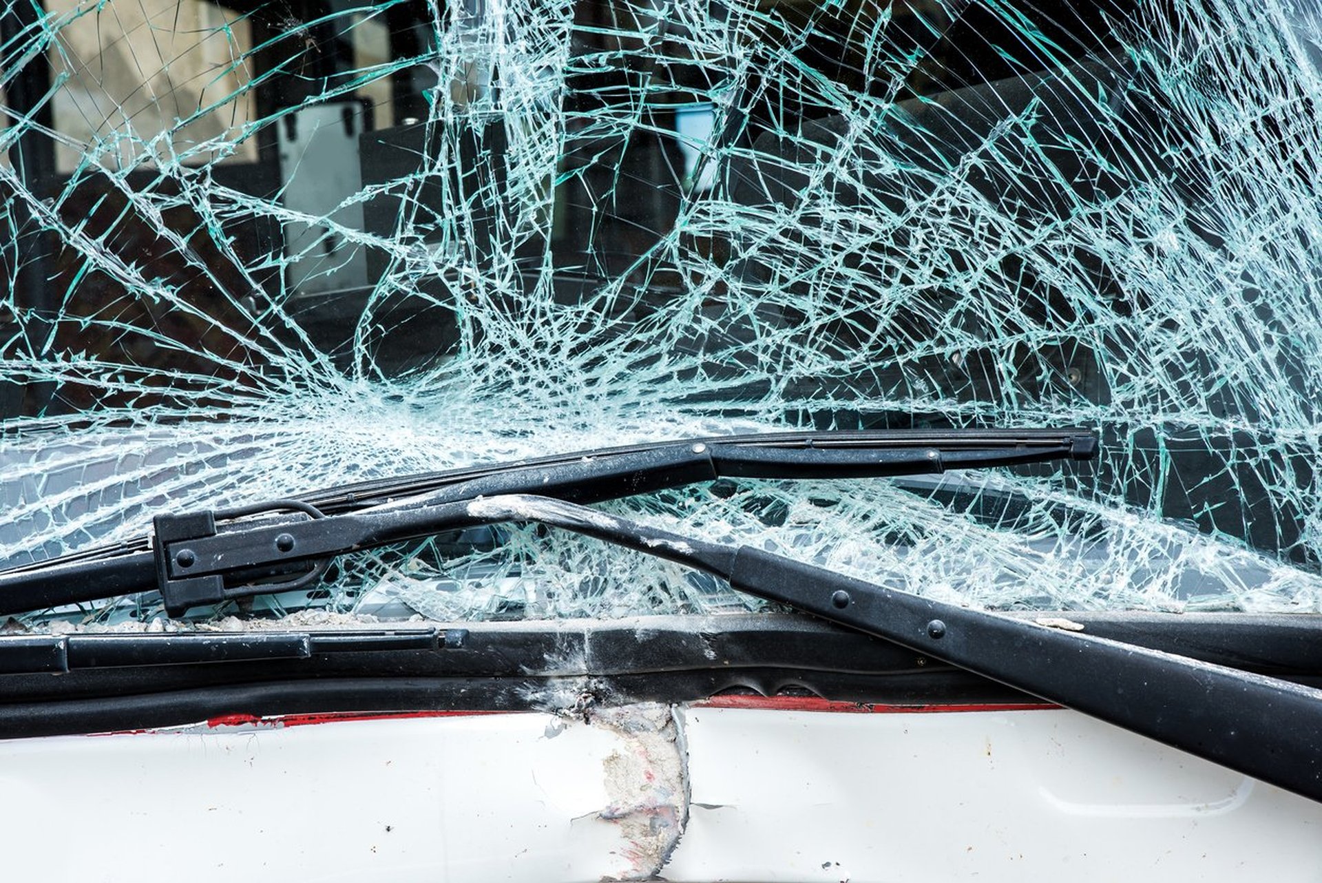 Снимка: iStock by Getty Images