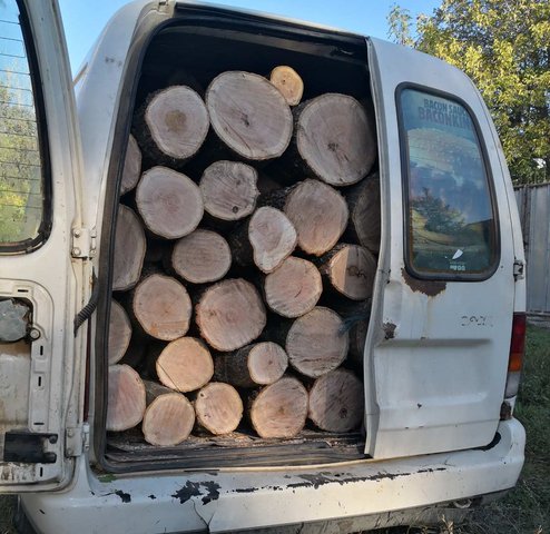 Крадените дърва. Снимка: СИДП