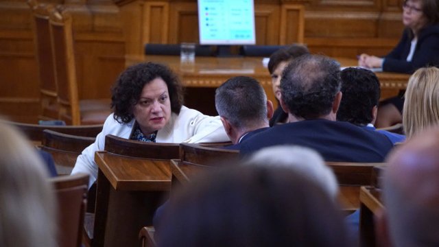 Ивелина Василева е бивш министър на околната среда, а сега - председател на ресорната парламентарна комисия.