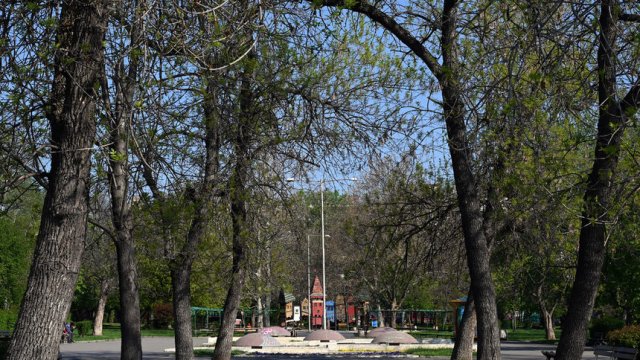 Снимка: Надежда Чипева, Капитал