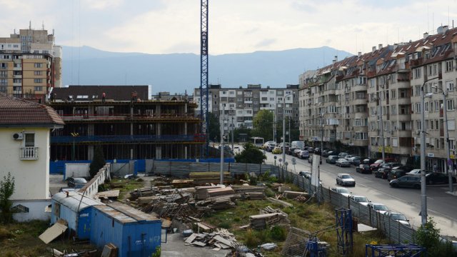 Снимка: Цветелина Белутова, Капитал