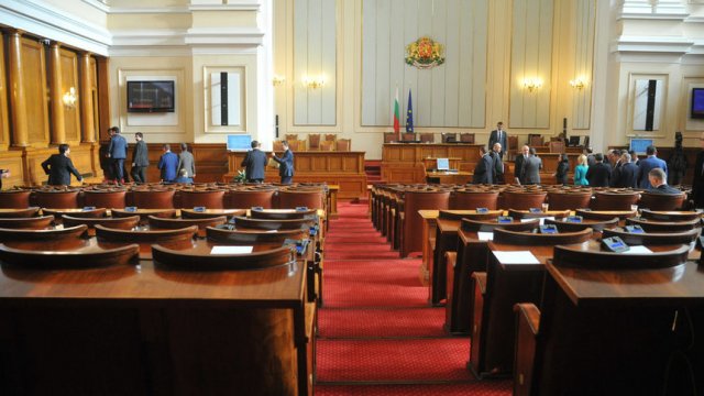 Снимка: Анелия Николова,Дневник