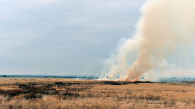 Снимка: Архив, © Надежда Чипева, Капитал