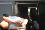 Хамстера е задържан след спецакция срещу проституцията