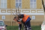 Служители по чистотата събират клонки край сградата на общината