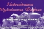 Шуменската филхармония с концерт  „Новогодишна музикална феерия“
