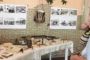 Изложбена експозиция подредиха ловците в хижа "Диана"