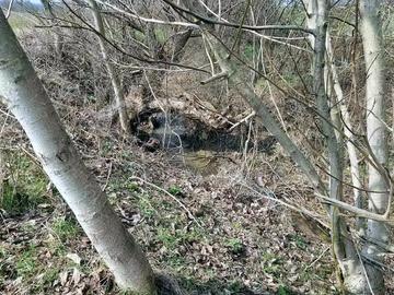 Снимка: Областна администрация - Шумен.