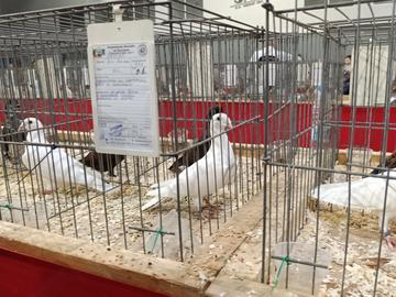 Снимка: Пресцентър на Община Шумен