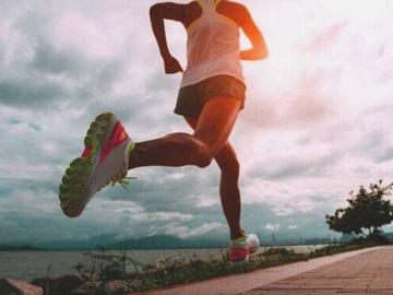 Движението на хората надвишава това на всички диви сухоземни животни, показва изследване