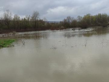 Река Росица излезе от коритото си и заля моста край Павликени