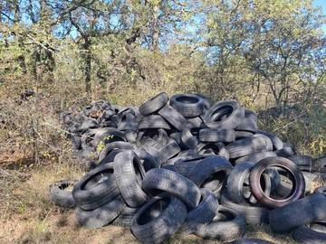 Снимка: СИДП