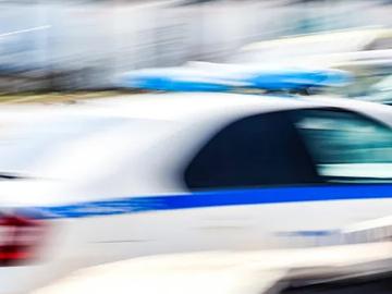 Мечка нападна и уби млад мъж на Витоша