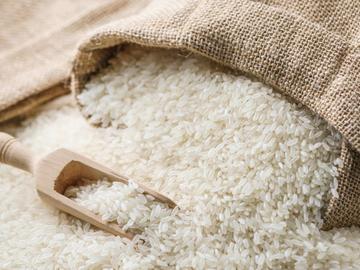 Вандали щурмуваха и изкорениха оризово поле, получено по геномен път