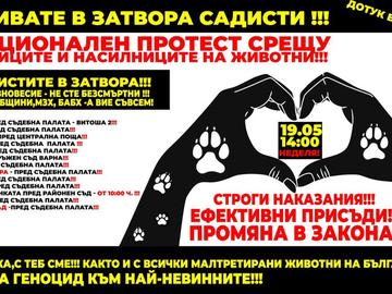 Отново организират протест в Шумен срещу насилието над животни