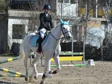 Отлагат състезанието по прескачане на препятствия в Шумен, планирано за тази събота