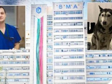 ВМА отстрани лекаря, прегазил кучето Мая