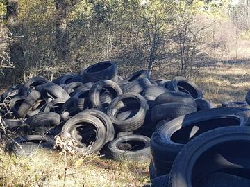 Снимка: СИДП