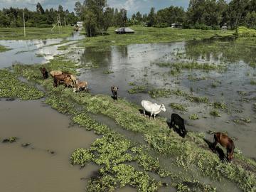 Тежки наводнения в Източна Африка, най-засегнати са Бурунди и Кения