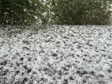 Градушка съсипа реколтата в села в община Неделино