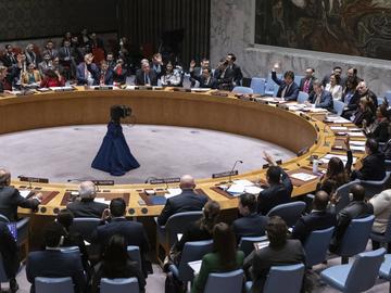 Германия призова за "мащабни промени" в Съвета за сигурност на ООН