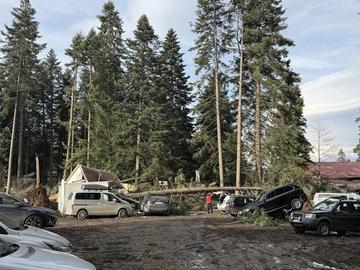 Ураганен вятър затвори Боровец и пистите му, борове смазаха коли, задействаха BG-Alert