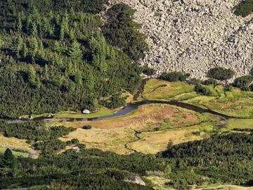 Освободиха "възкръсналия" отшелник от Пирин, отказа да иде в социален дом