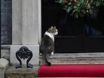 Кои са най-влиятелните животни на планетата за 2025 г.