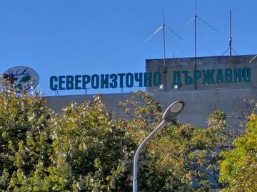 Мечка обърна пчелни кошери над Тушовица