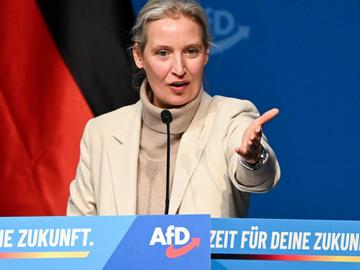 "Алтернатива за Германия" насрочи партиен конгрес навръх важна нацистка годишнина