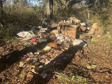 Снимка: СИДП