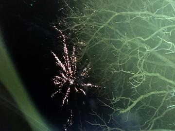 Снимка: Община Шумен.