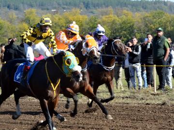 Стотици се събраха на Хиподрума в Шумен за състезание по конни надбягвания