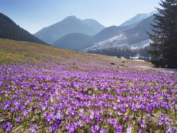 Астрономическата пролет настъпва днес в 16:46 часа