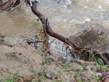 Спасиха 17-годишно момче, попаднало във водата в Търново