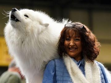 Кучетата от породата самоед проявяват „музикални“ способности