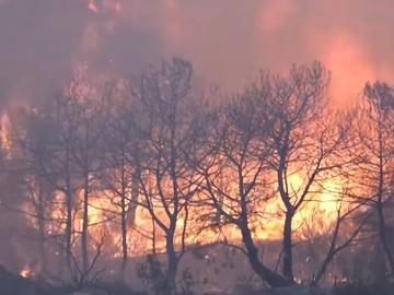 Голям пожар в Каталуния, 2000 души са блокирани в домовете си, властите искат помощ от армията