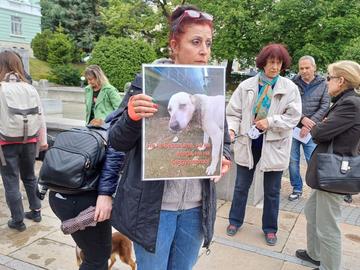 Шуменци се включиха в националния протест против насилието над животните