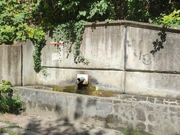 РЗИ: Водата от шест чешми в Шумен не става за пиене