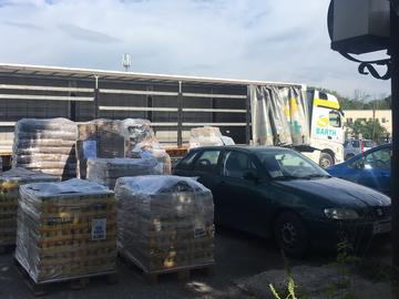Камион с дарения за кучетата от шуменския приют пристигна от Германия