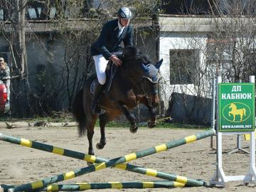 Организират турнир по прескачане на препятствия на Хиподрума