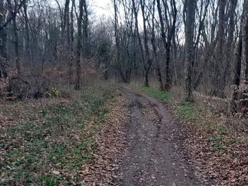 СИДП: 6 бракониерски автомобила, 29 каруци и 120 кубика дърва са задържани в Североизтока през 2025 г.