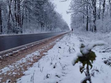 АПИ: Тръгвайте на път готови за зимни условия