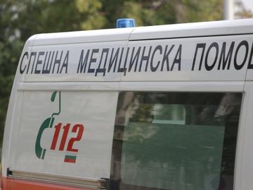 Куче нахапа жестоко стопанина си и негов приятел в апартамент в столичния квартал "Люлин"