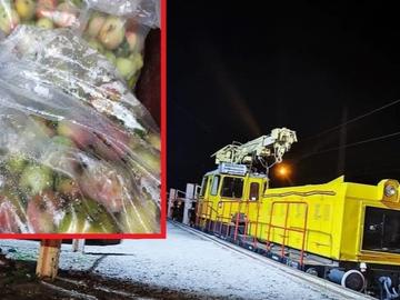 НКЖИ уволни 10 служители за кражбата на ябълки с локомотив