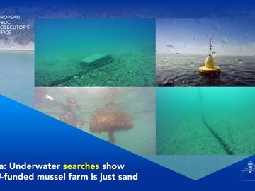 Финансирана от ЕС мидена ферма край нос Емине може да се окаже само пясък