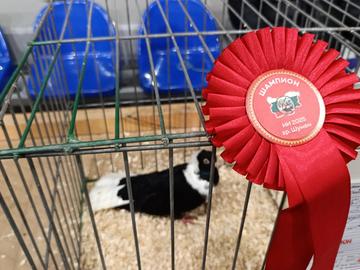 Снимка: Пресцентър на Община Шумен