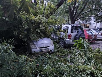Паднали дървета, пожари и щети след бурята в Кюстендил