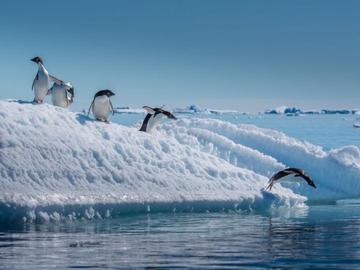 Красотата, която се топи - тревожна приказка от Антарктическия полуостров