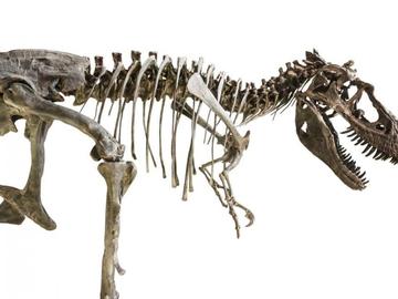 Археолози откриха останки от динозаври в Уелс
